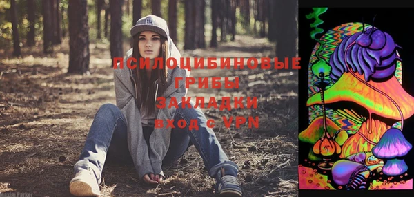 a pvp Аркадак