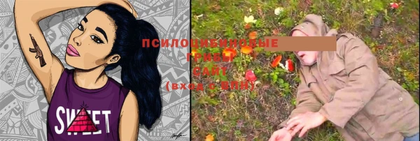 ALPHA PVP Алексеевка