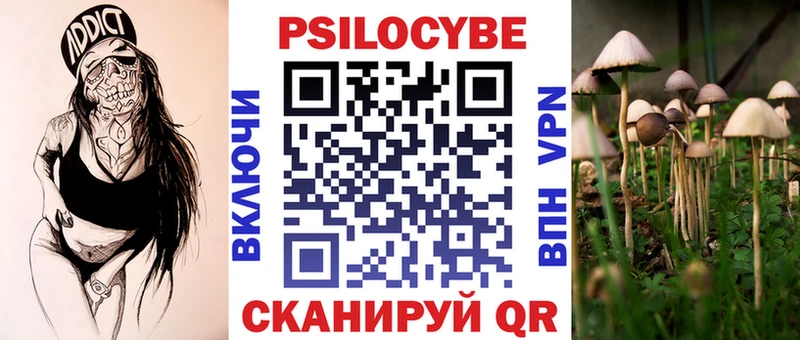 купить наркотики цена  Рошаль  Псилоцибиновые грибы мицелий 
